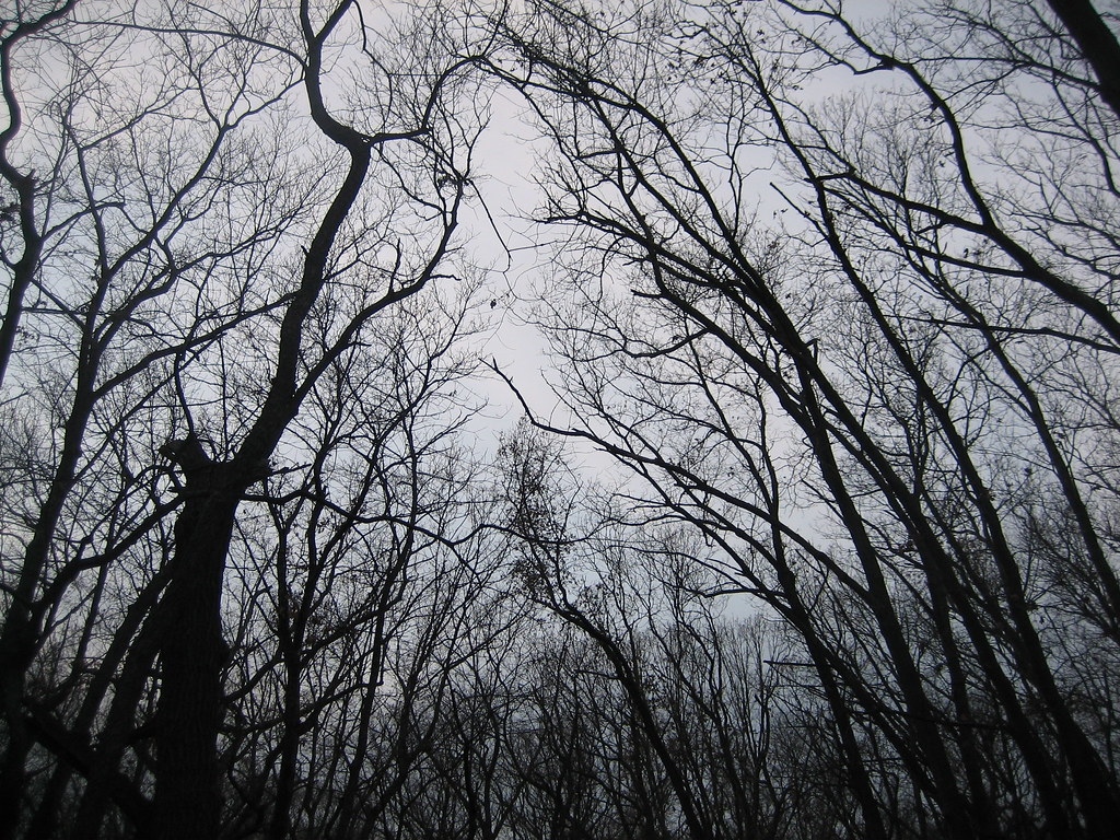 uaflibrary's tweet image. We&apos;re getting close to Halloween. Here&apos;s your spooky challenge:

Using this photo as a prompt, can you write a story using ONLY 6 words?

Post your story in the comments.