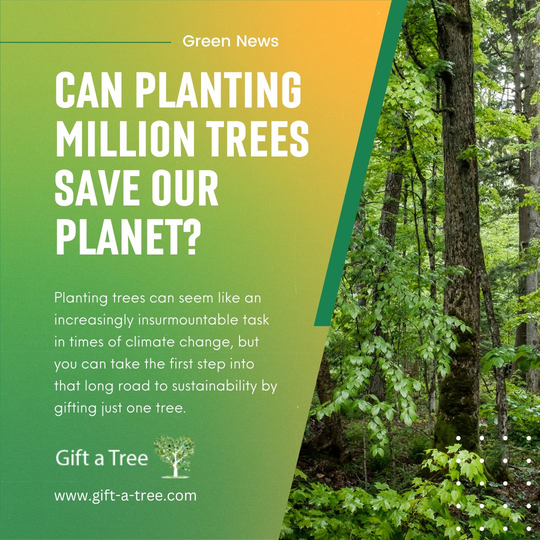 GiftaTreeGlobal's tweet photo. Stuck for a perfect eco-gift?

Satisfy someone today and do the planet some good 🌲🌴🌳♥️🌴🌲

#giftatree #ecogifts #bestgreengifts #planttrees #eco-gifts #sustainablegifts #treegifts #treegift #plantatree #greengifts https://t.co/KNpIZHbJ93