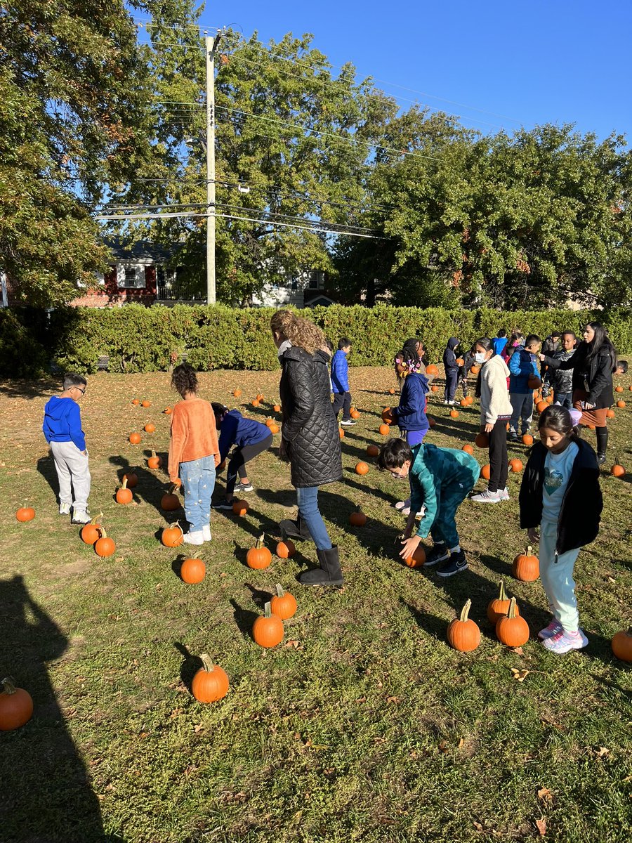 NavarraMrs's tweet photo. Thanks to the @PtaWheeler for an adorable pumpkin patch today! 🎃 #TeamNav #TeamWheeler @WheelerAvenue @VS13UFSD https://t.co/93117R912k