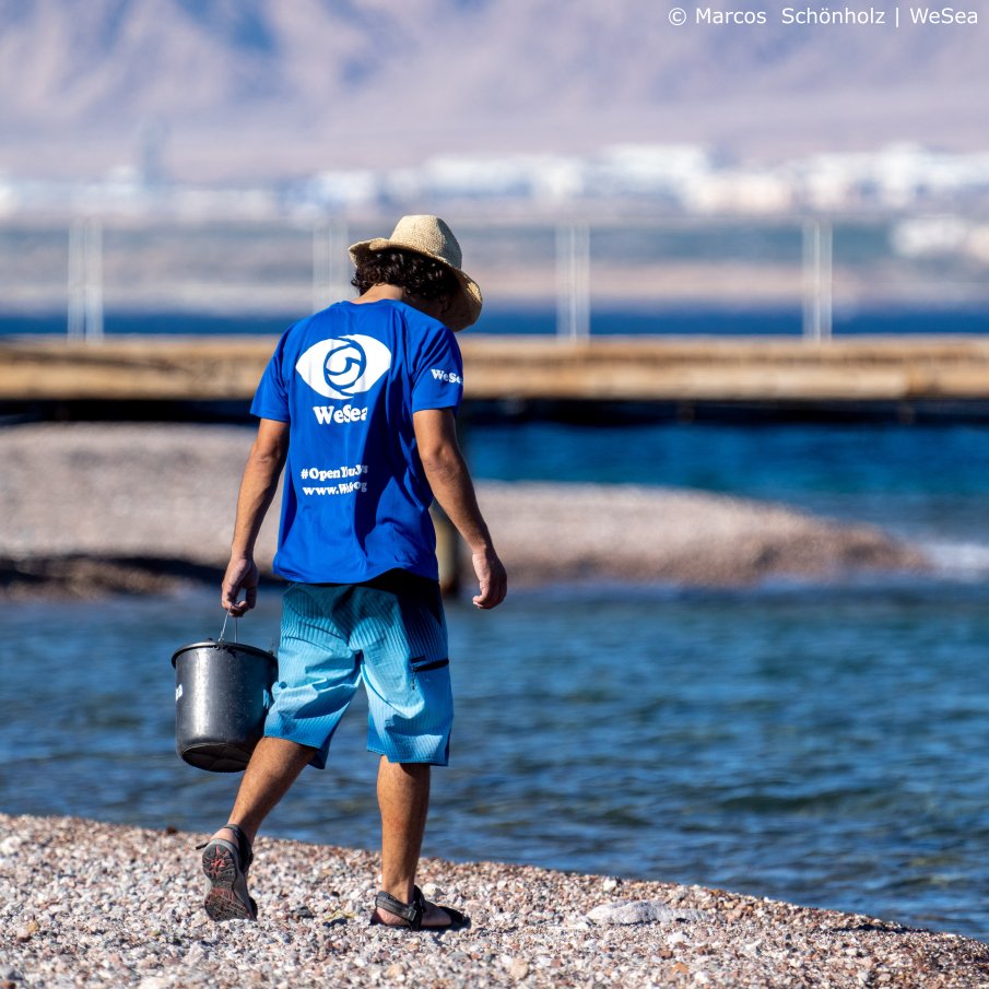 Whether it's reducing the use of #SingleUsePlastics, joining a #BeachCleanUp, or helping to #RaiseAwareness, we can all be part and support the fight against #MarineDebris.
Together we can #MakeADifference!

#WeSea #OceanConservation