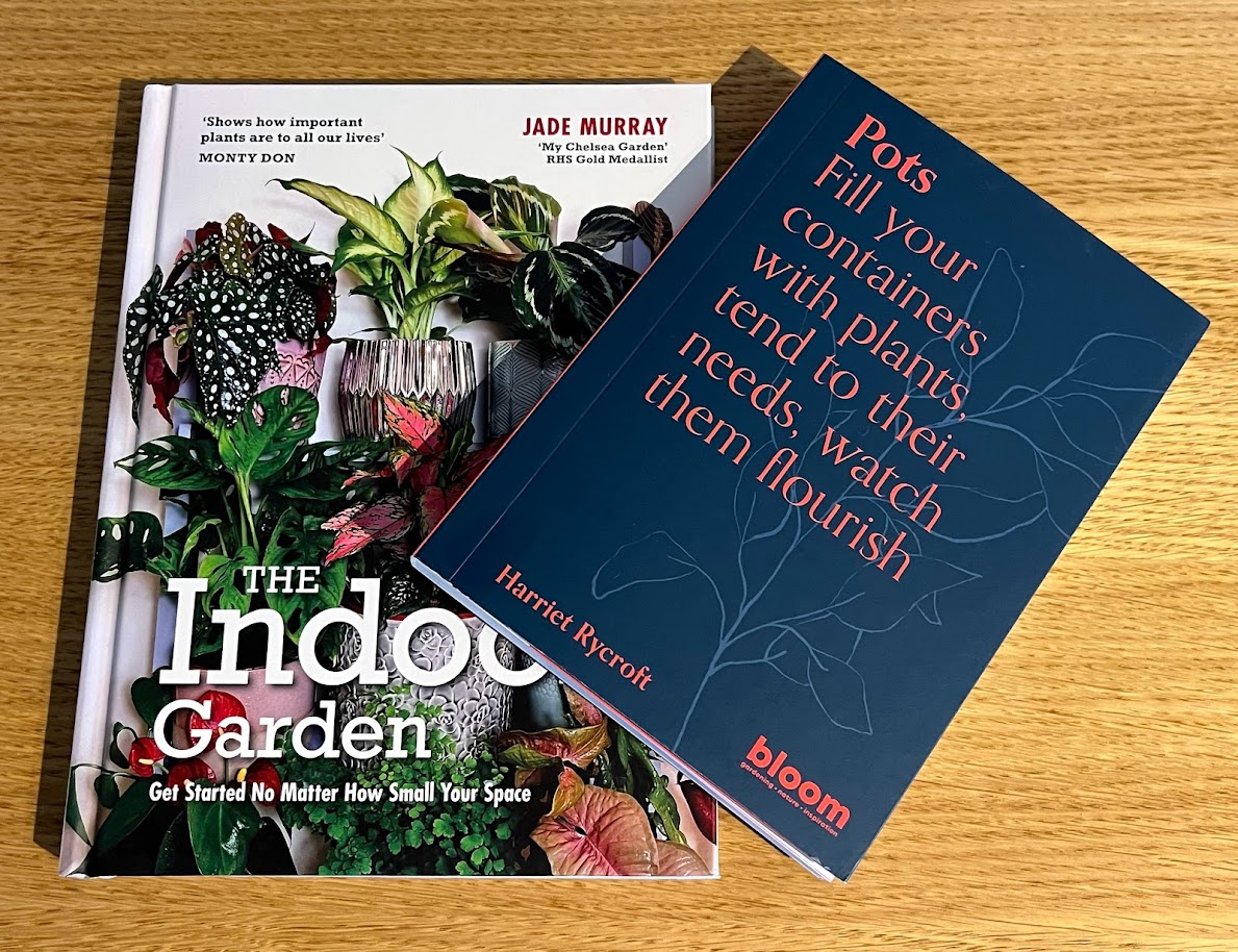 papaver's tweet photo. On the blog: (tap link) https://t.co/DI8VJ6ZnSs I review two fabulous new books - one on houseplants & the other on container gardening #blog #gardenblog #houseplants #indoorgardening #containerplanting #bookreview #FridayThought https://t.co/tdhkN5Oa8c