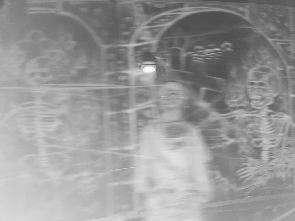 CarrouselChrono's tweet photo. 👻👻☠️💀Creepy #mackmagicmoments can be experienced at so many haunted places! #daemonium #geisterbahn #ghosttrain @mackridescom @MichaelMack @ThomasMack_EP https://t.co/zCcuTKcugp