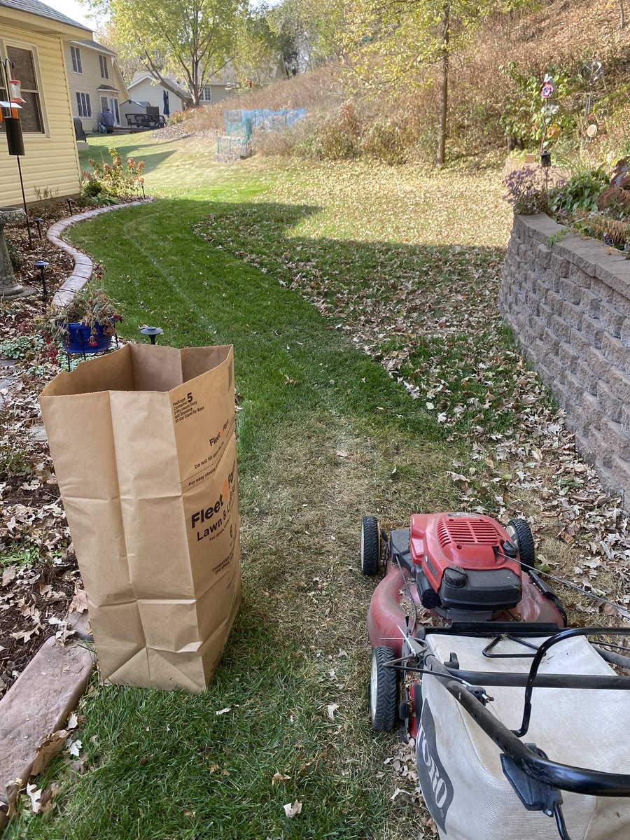 sbradfield109's tweet photo. Today’s job for #MEAbreak. #fall #MN #leaves #teacheronbreak #teacher #yardwork 🍁🍂 https://t.co/kVG3Uv3bpm