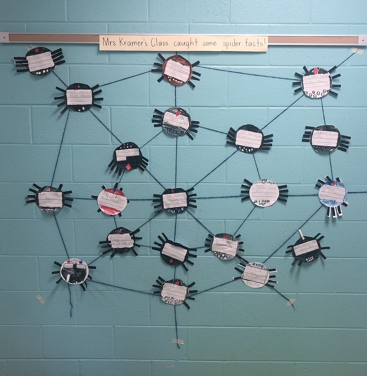 Ahh! <a href="/arnoldaacps/">Arnold Elementary</a> 1st graders researched then caught spider facts 🕷🕸 #funinfirstgrade #AACPSAwesome