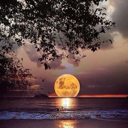 KatanaHugo's tweet photo. Goodnight dear friends!
#photos #photography #night #moonlight https://t.co/K3nNKe4qiu