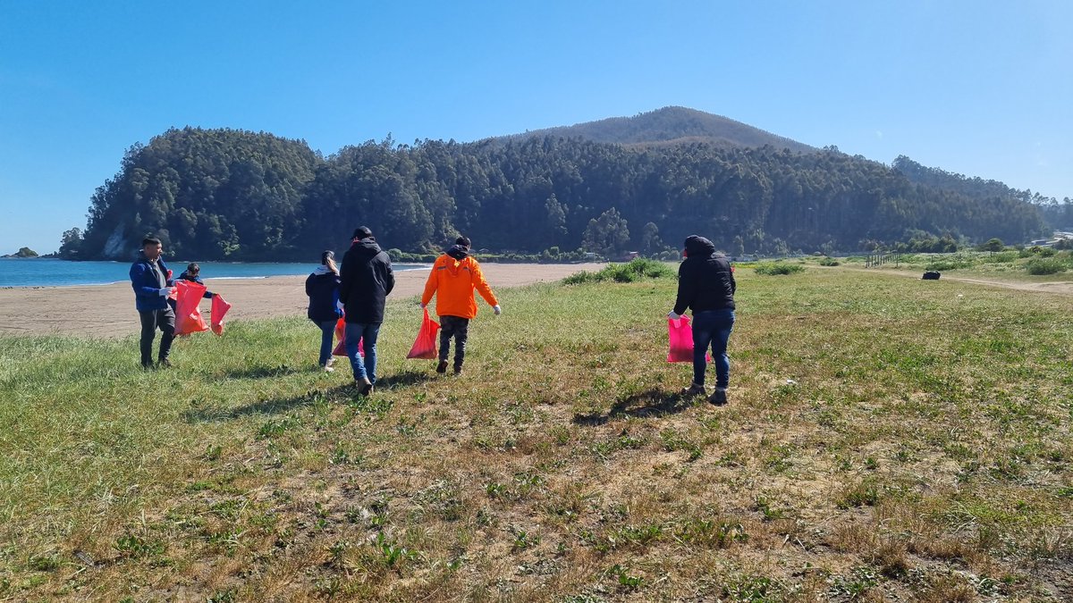 InjuvBio_Bio's tweet photo. 🏖Hoy estuvimos apoyando la limpieza de la playa de #Chivilingo. La actividad fue organizada por la junta de vecinos del sector y la @munidelota.
🗑Retiramos una gran cantidad de basura, principalmente plásticos y botellas de vidrio. https://t.co/MTO127CaVr