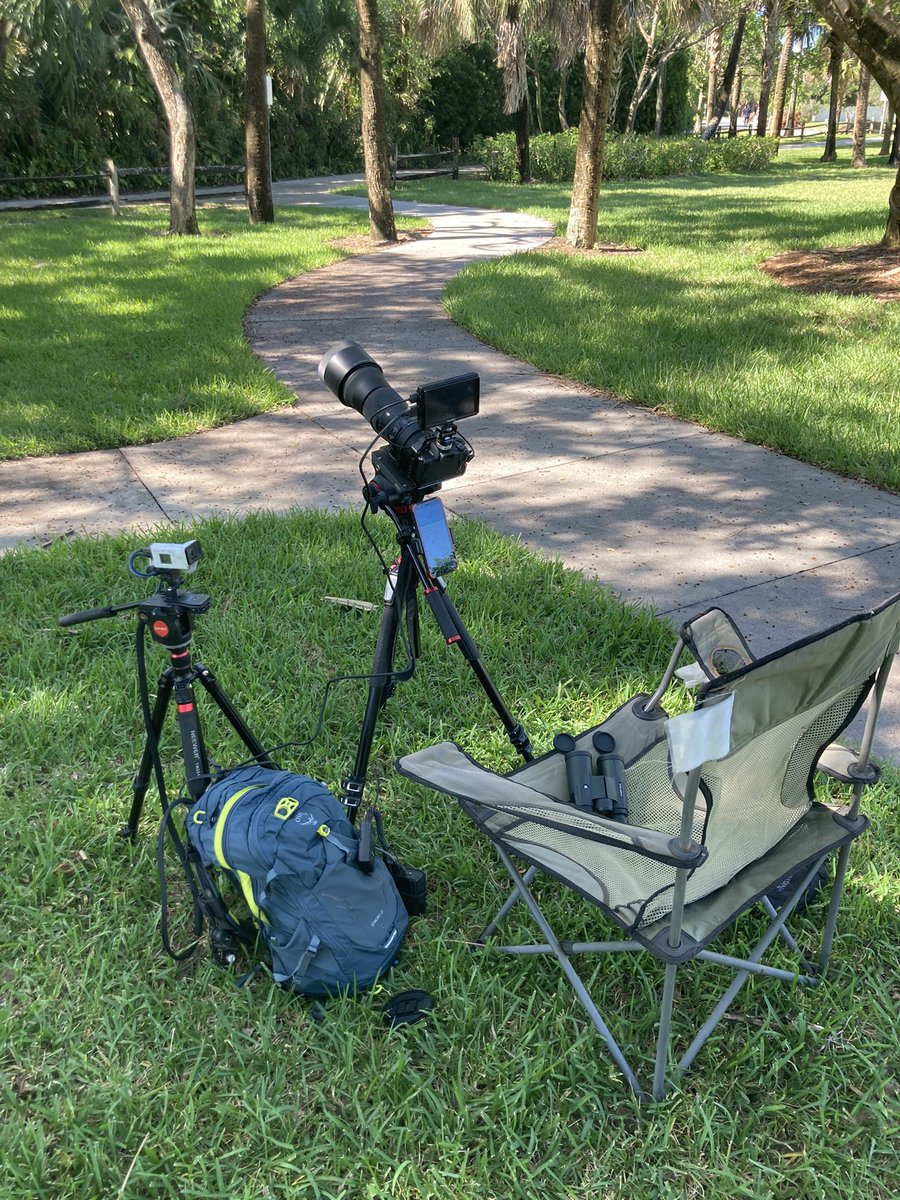 DrWD40 (Wade) tweet media