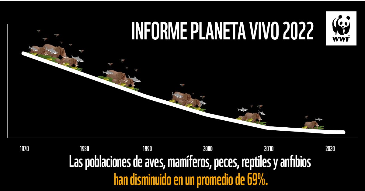 El #InformePlanetaVivo nos habla claro, el número de poblaciones de especies ha disminuido 69% en promedio desde 1970.
Arreglar nuestra relación con la naturaleza es fundamental. Juntos, podemos marcar un cambio #PorUnPlanetaVivo.
➡️bit.ly/3SXIDiJ
