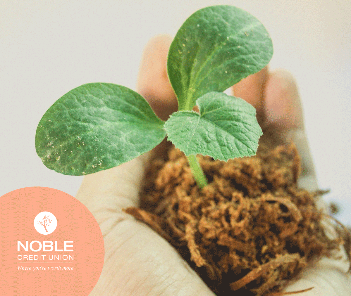 Every dollar counts, especially in this economy. So put those dollars to work! Open a high-interest Reverse Money Market account, and watch those extra dollars grow. 💸 It doesn't take much—the smallest balances earn the most interest! Learn more: loom.ly/tJRiZ3g