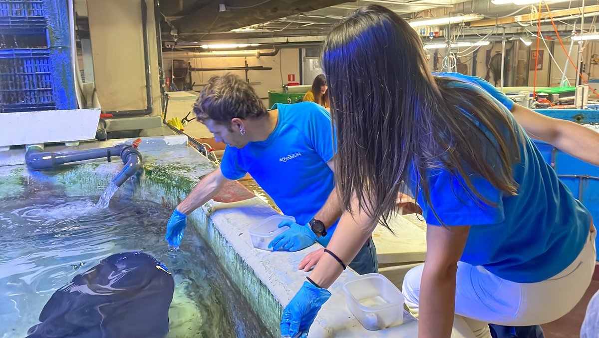 📸🔝👏
Denboraldiko patroirik onenek jaso dituzte euren garaikurrak
🔗 bit.ly/3TMagvb 
📽 youtu.be/bvXlw36hRUE 
#EuskoLabelLiga #EuskotrenLiga