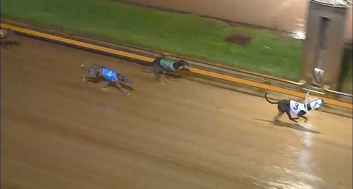 She was labeled as my BEST OF THE DAY

Action Girl takes out the Cannon Ball final during an absolute downpour. Lucky she had the snorkel on 🤿