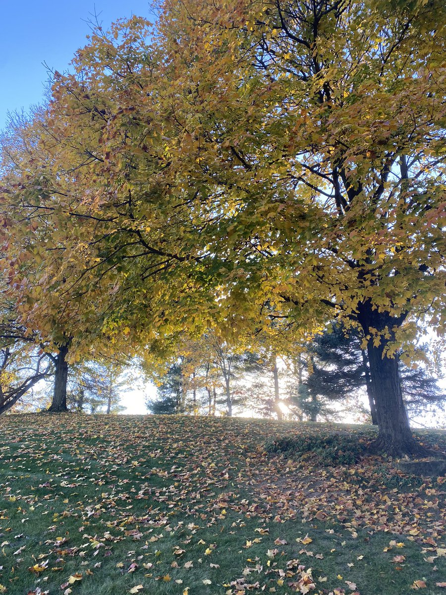 Live, unedited tweet. Wishing you all a wonderful weekend - I’m going to try to go outside more! What are your plans?