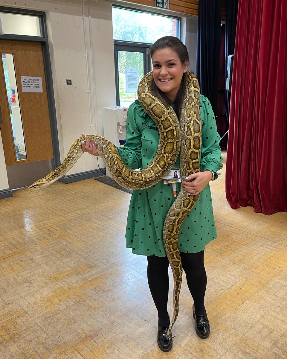 Mrs_JHoughton's tweet photo. It was a pretty awesome day at work today! Conquered my fear of tarantulas, cuddled a skunk and held a huge snake. #FacingFears #HappyFriday #AnimalsInteractive https://t.co/LHMso8Z868