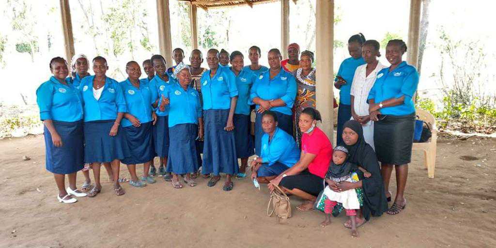 World Pulse tweet media