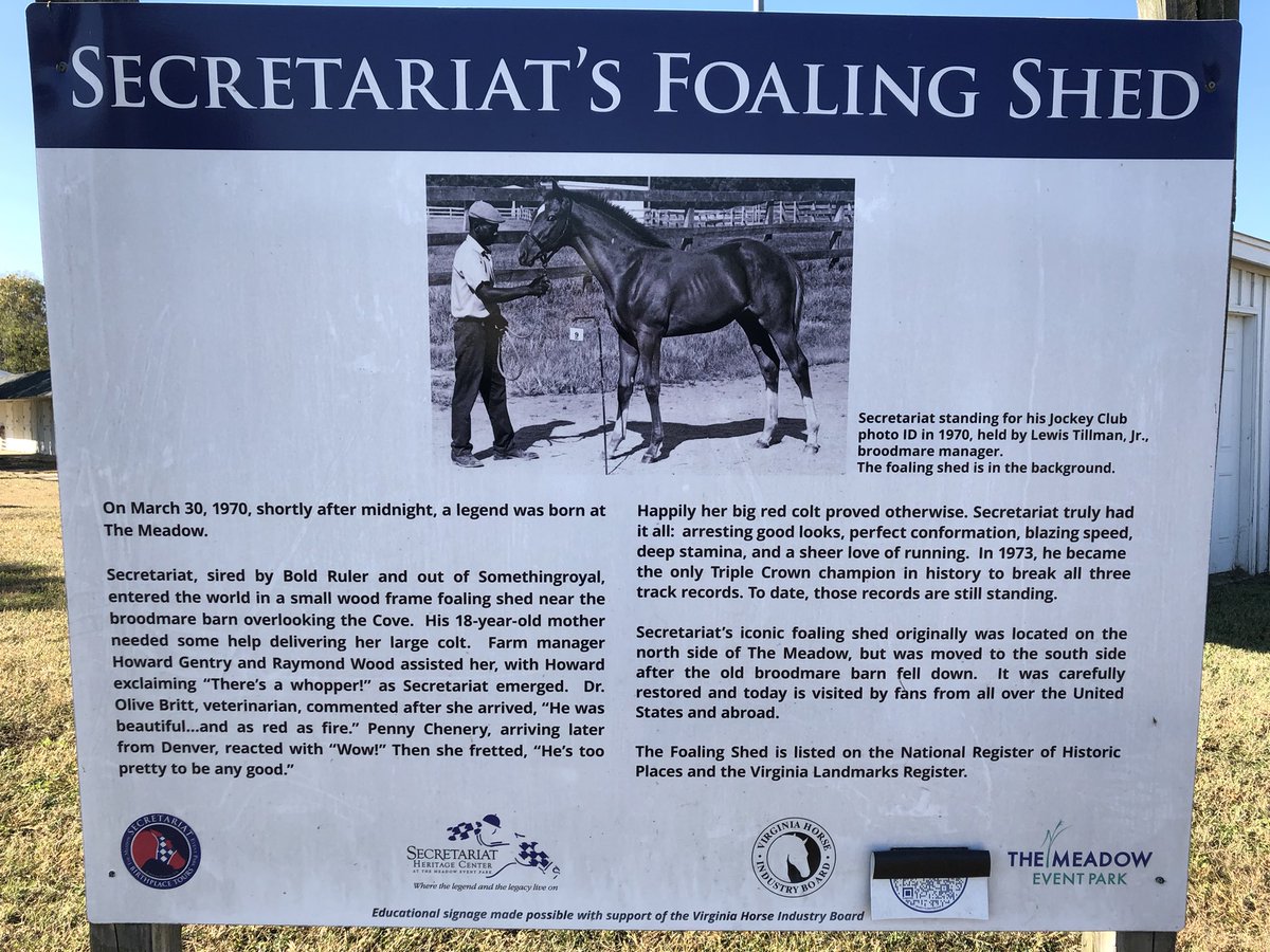 RayColevas🐎🐎 tweet media