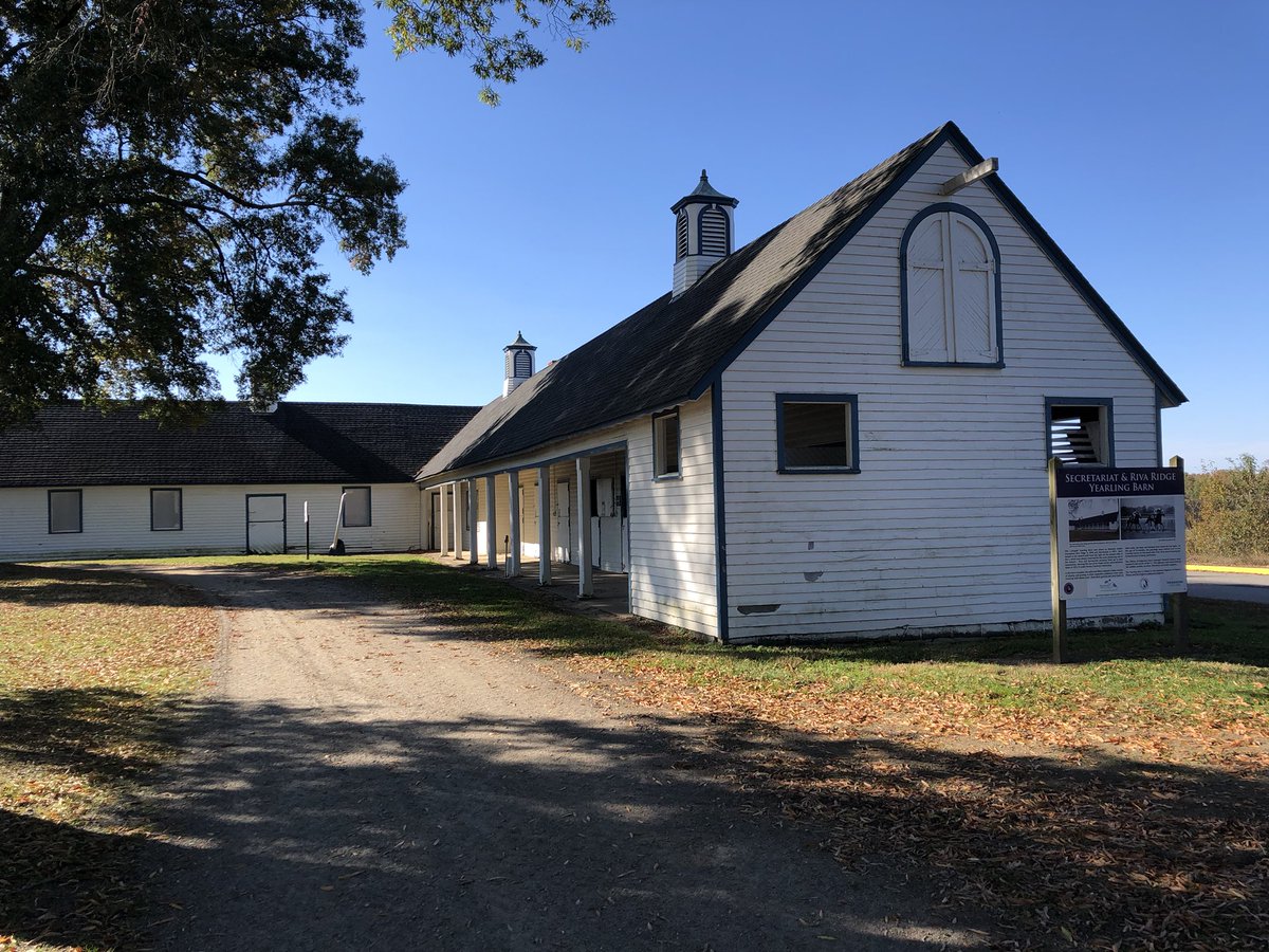 RayColevas🐎🐎 tweet media