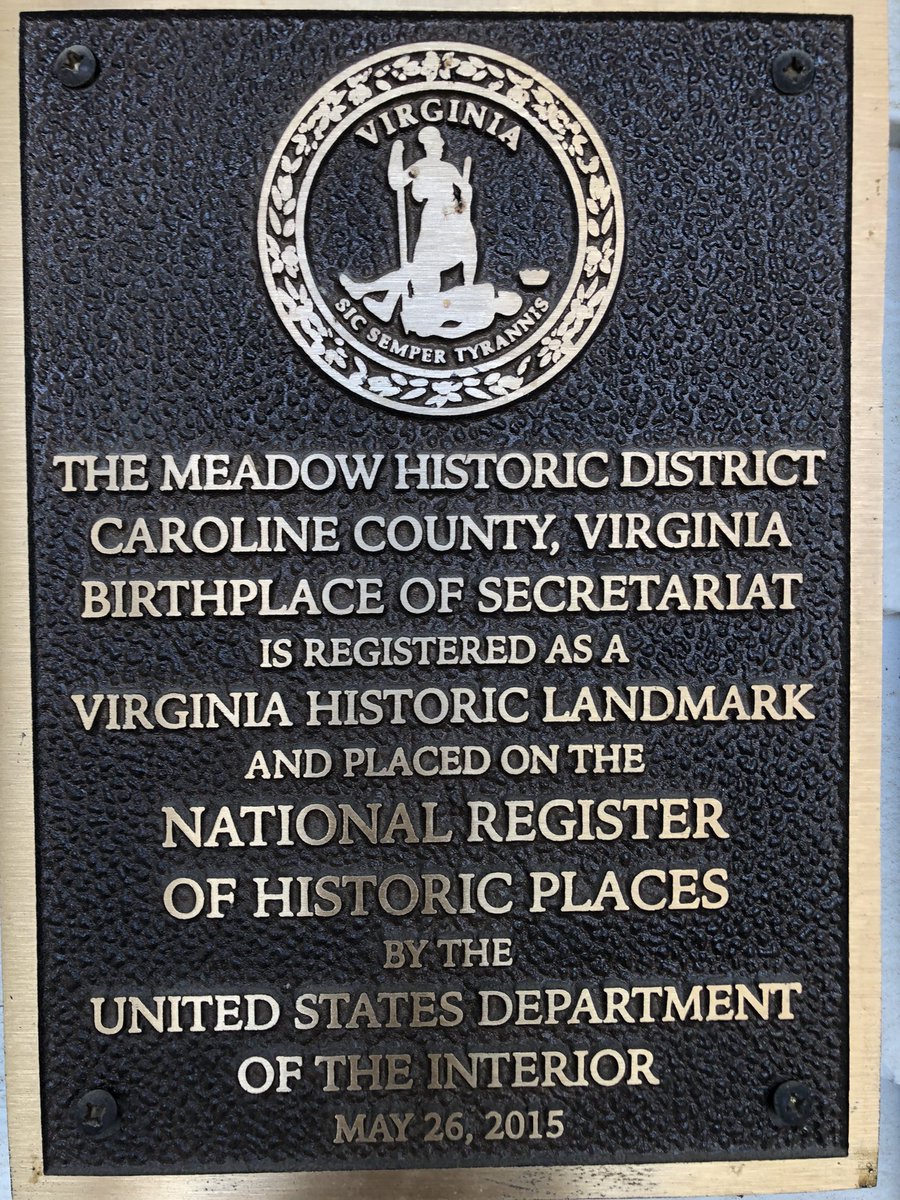 RayColevas🐎🐎 tweet media