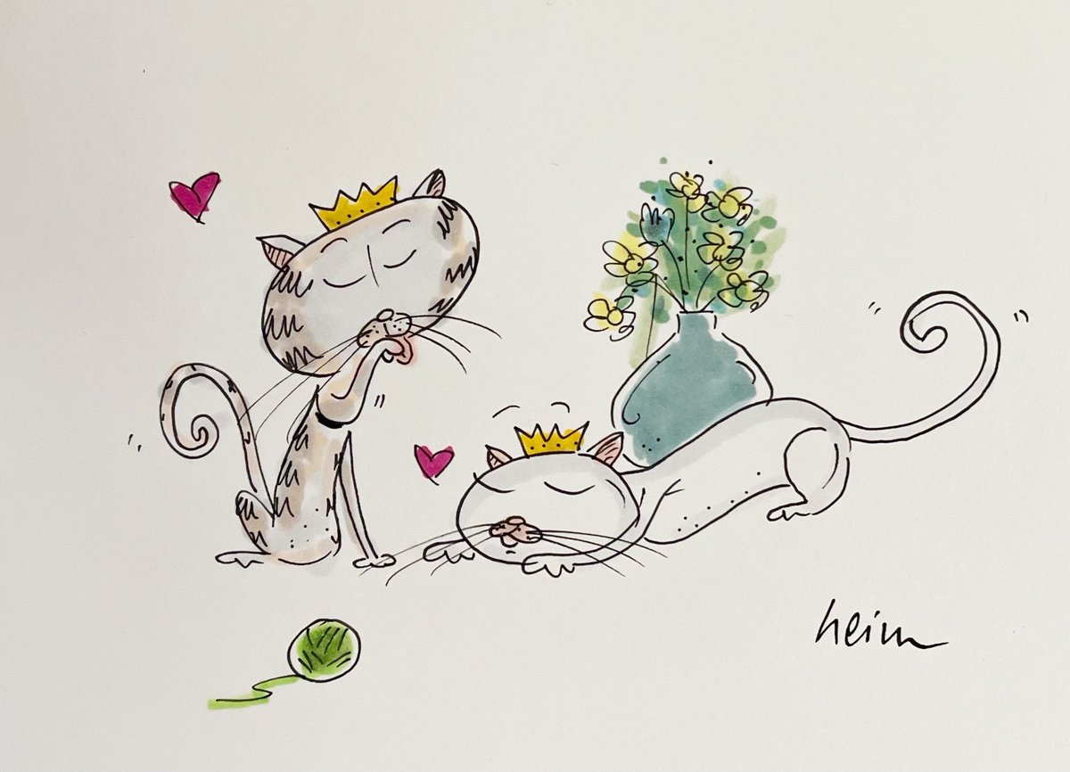 Jordon Brown tweet media