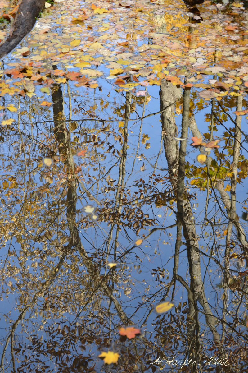 A reflective kind of day today! #REFLECTION #NatureBeauty #colourful #Autumn #beautifulcolor
