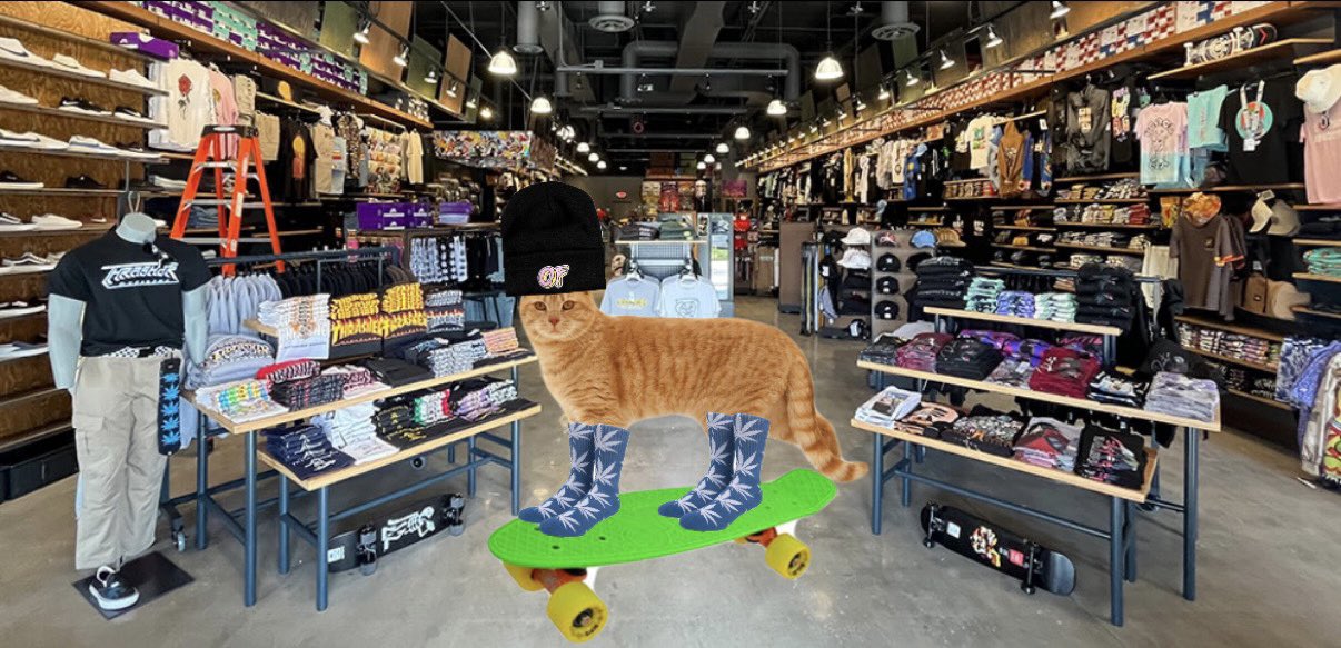 k0urt on Twitter "“I think your cat has the zumiez again” https//t.co