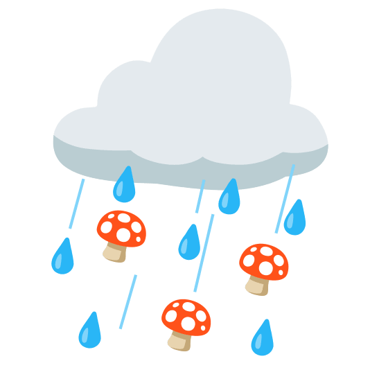 micocyl's tweet photo. 🍄Fin de semana ideal para los amantes de recoger hongos, tod@s a los acotados y parques @micocyl a llenar esas cestas.🍄
#Segovia #PMsierrasdeBejaryFrancia
#PMNoroesteZamorano #riocea #DemandaSanMillan #ValledeMena #MontesdeOca #Gredos #Valladolid https://t.co/2TUJ5R3wui