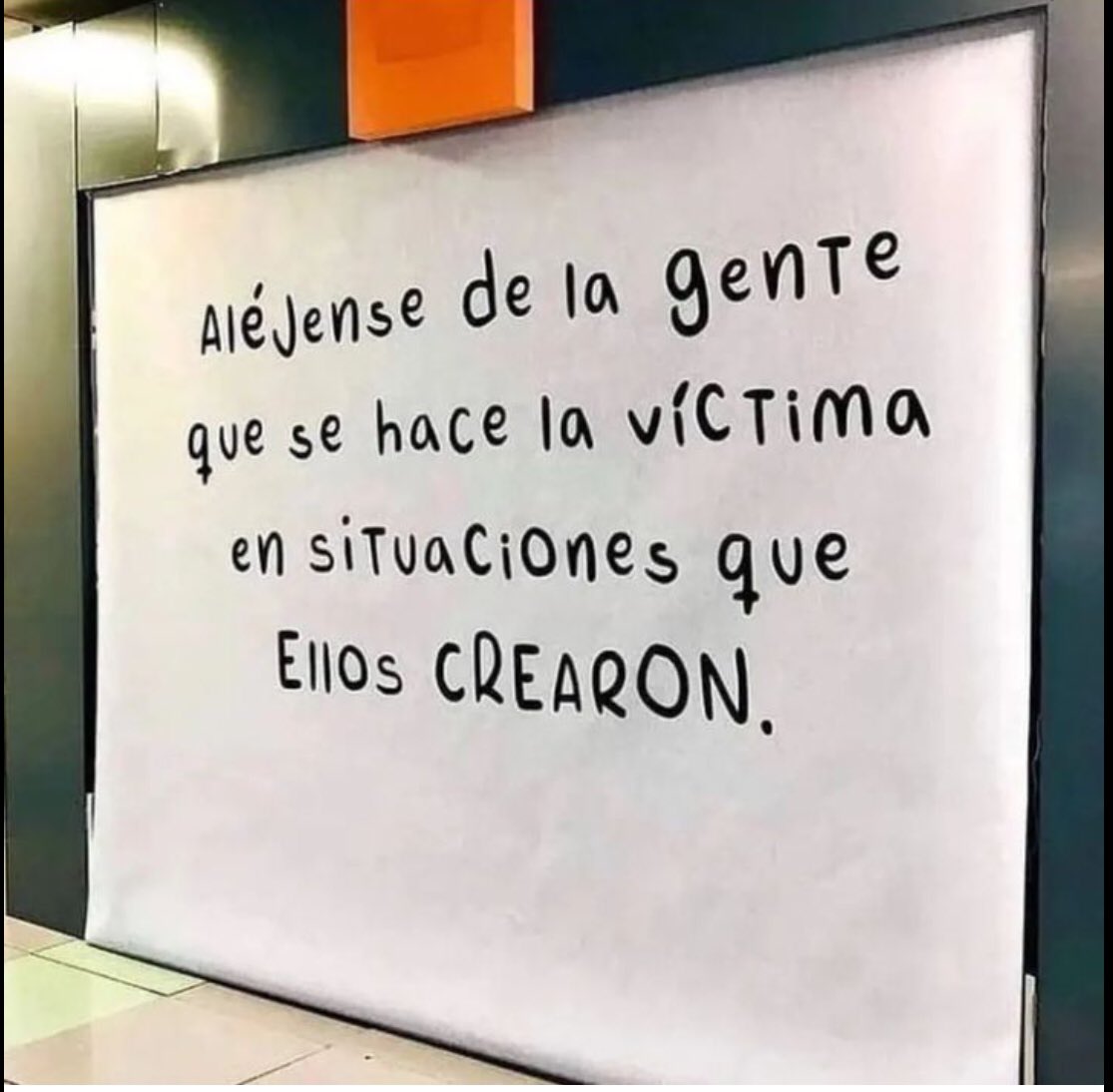 Rosaura Rodriguez (@rosauraro) on Twitter photo 