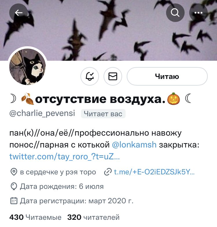 lonkamsh's tweet photo. с кем же ещё конечно @charlie_pevensi 💗💗💗💗💗💗💗💗 https://t.co/iqzQ2nT7fs