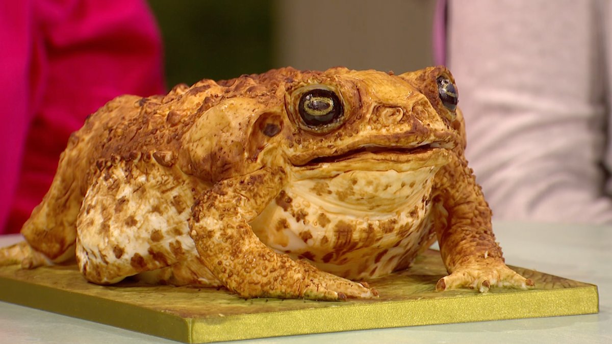 Toad-ally brilliant! Thanks for bringing in your amphibian cake, Ellie. #ExtraSlice