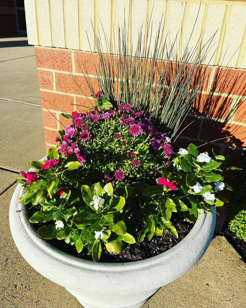 RoundHillES's tweet photo. Thank you to the Kucera family for the beautiful job they do with our planters out front throughout the year. We are so appreciative! #gorhbears @rhesptofun https://t.co/VC1F1yvOHp https://t.co/DgoRi1w52R