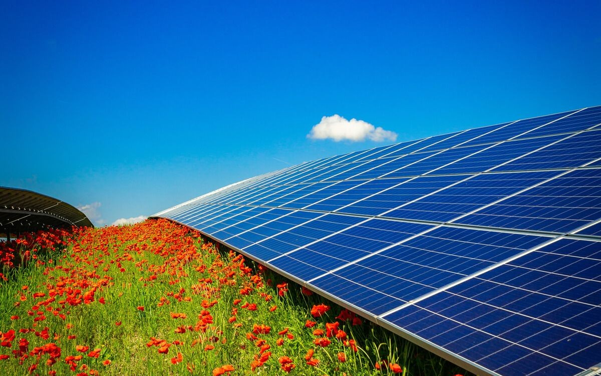 New platform targets public participation in solar projects in Germany
renewablesnow.com/news/new-platf…
#germany #solarenergy #solarnews