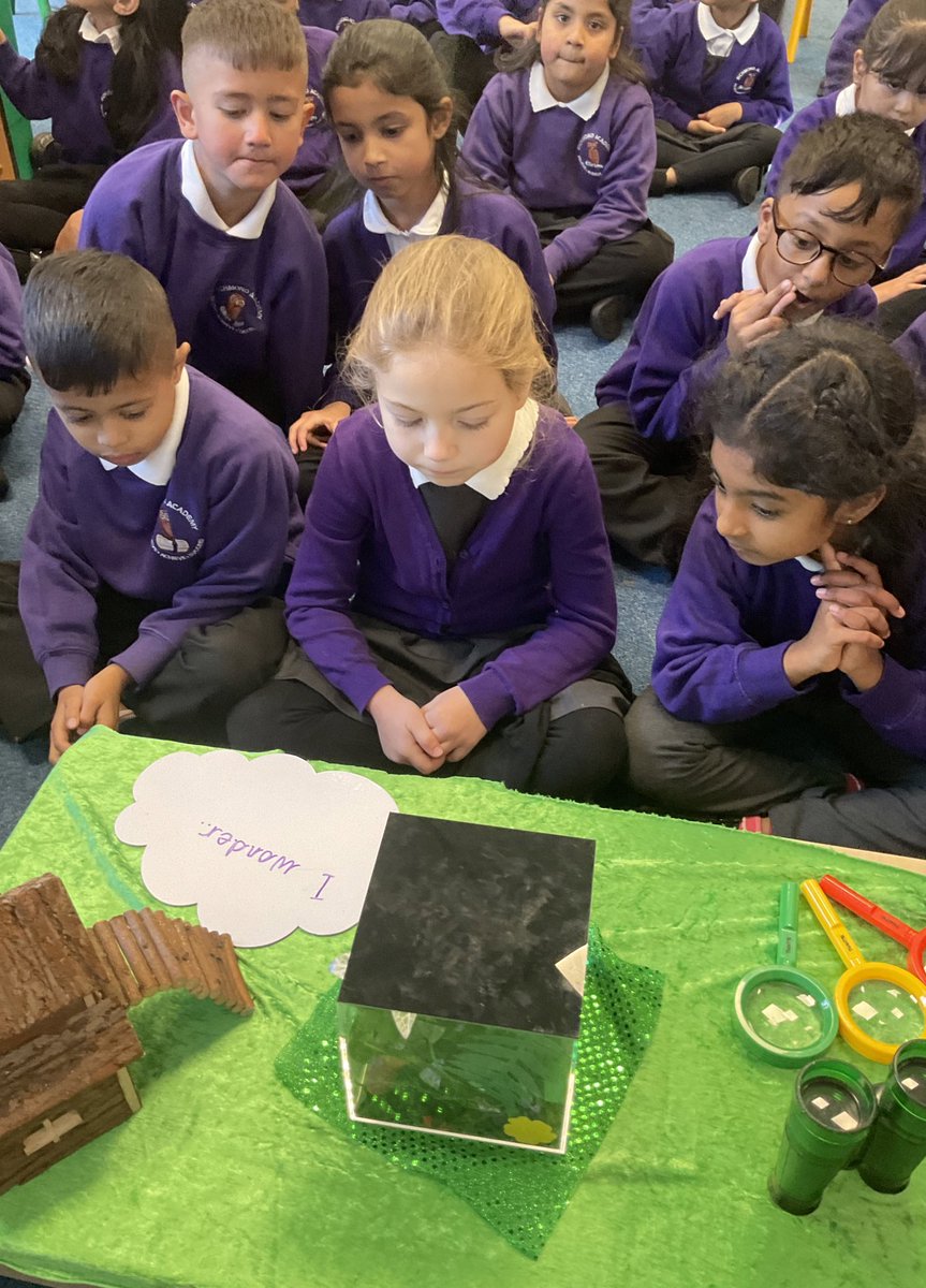 Wow! What a start to our curriculum week centered upon our inspirational text ‘The Lion Inside’. Pearl class were so excited to enter a jungle instead of their normal class. #readachievesucceed