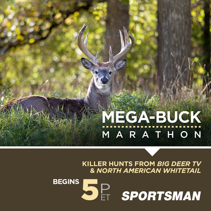 If you haven't seen a big buck from your stand, we've got the cure! Join us for a 3-hour Mega-Buck Marathon, TOMORROW at 5 PM ET. We're bringing you killer hunts from Big Deer TV and North American Whitetail. #ITSINOURBLOOD #IAMSPORTSMAN #hunting #deer #deerhunting #bigbucks