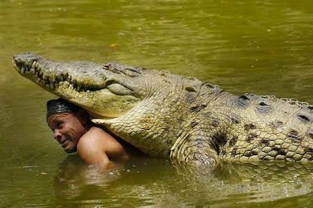 A man in Costa Rica nursed a crocodile back to health after it had been shot in the head &amp; released the reptile back to its home. The next day, the man discovered “Pocho” had followed him home &amp; was sleeping on his porch. For 20 yrs Pocho became part of the man's family