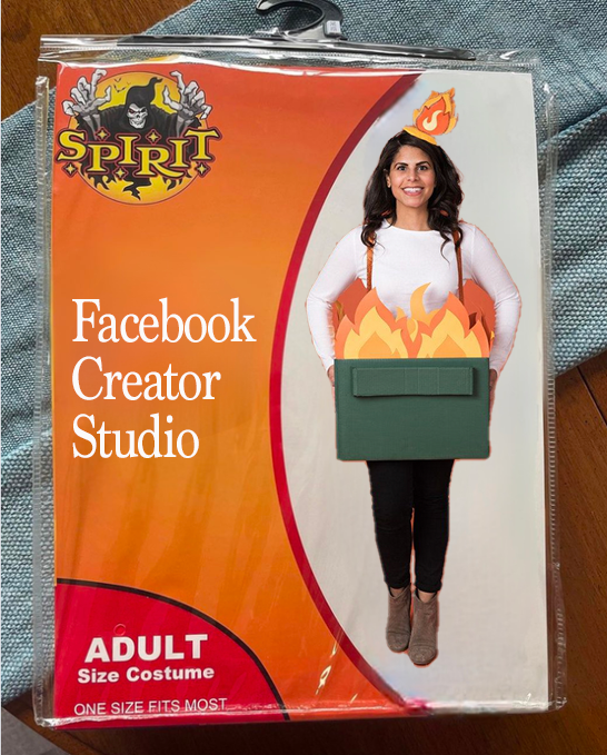 It's a bit last minute, but I found my Halloween costume for this year.