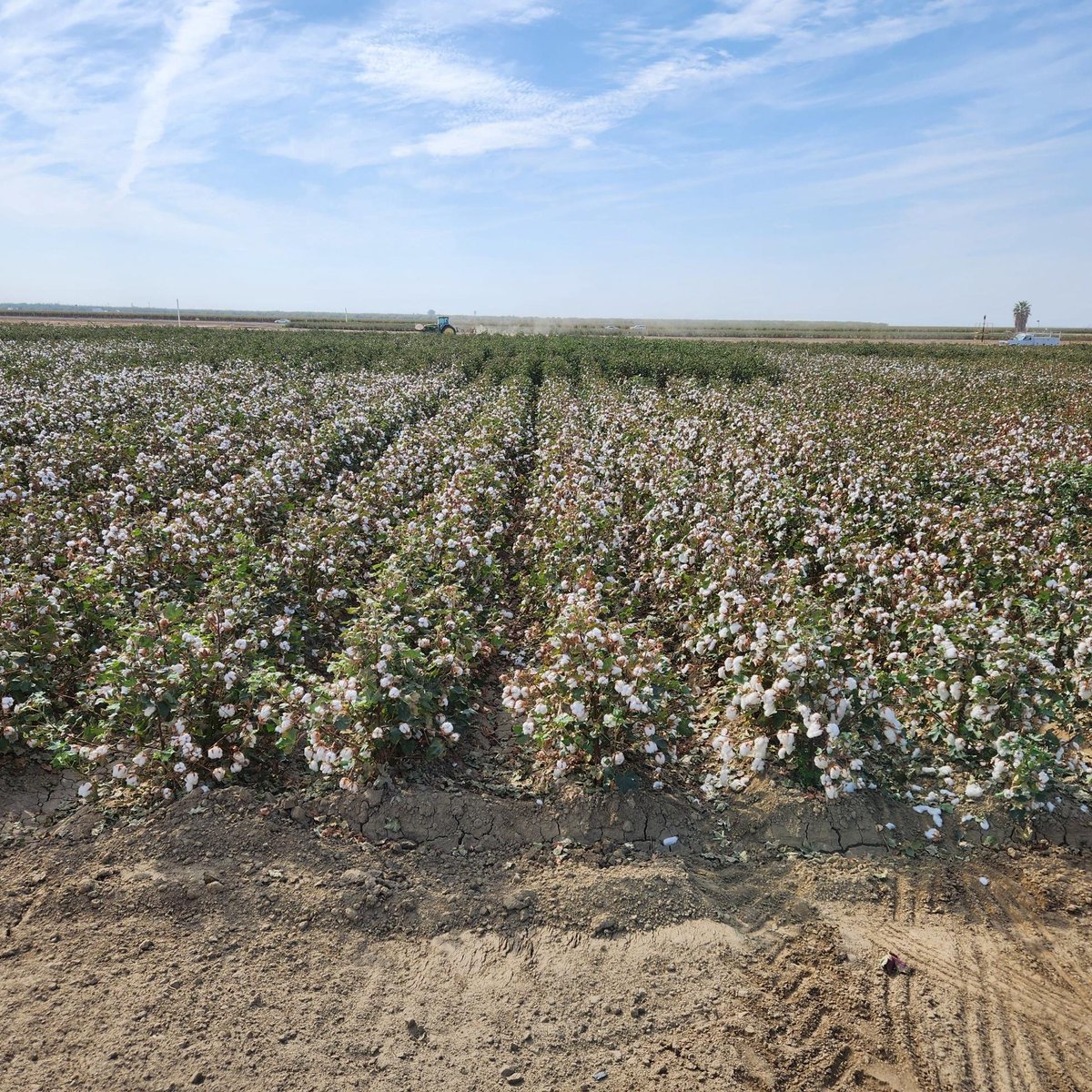 Ian Grettenberger tweet media