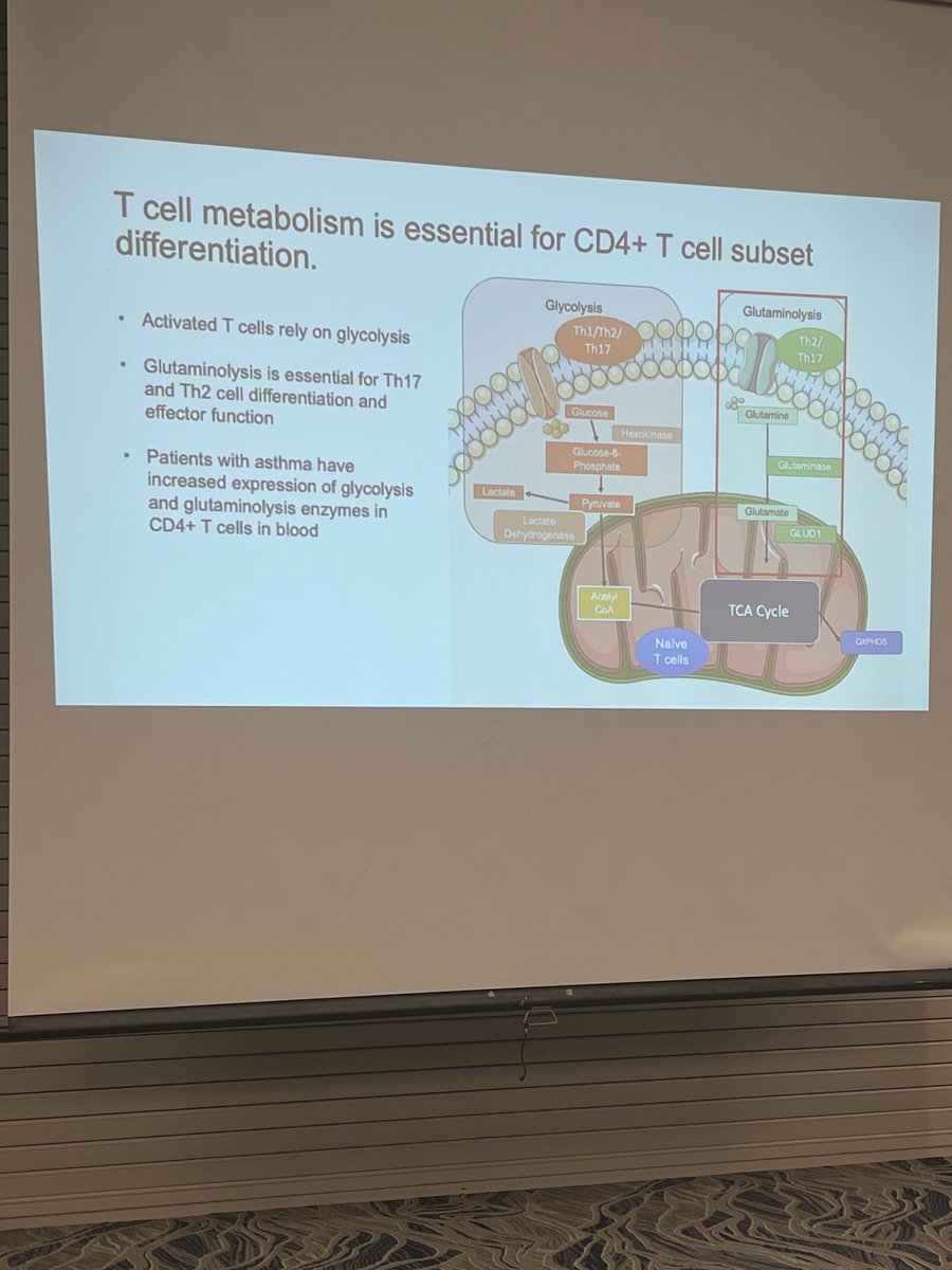 Chrystal Paulos (@chrystal_paulos) on Twitter photo Excellent talk by Nowrin Chowdhury in the <a href="/Newcomblab/">Newcomb Lab</a> on the role of AR in Th17 metabolism in asthma! @VUMC_VCI retreat Excellent talk by Nowrin Chowdhury in the <a href="/Newcomblab/">Newcomb Lab</a> on the role of AR in Th17 metabolism in asthma! @VUMC_VCI retreat