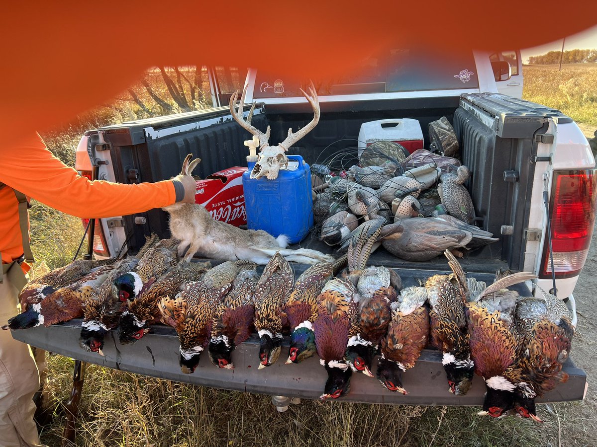 houset19's tweet photo. That time of the year! https://t.co/aWGsVptiV5