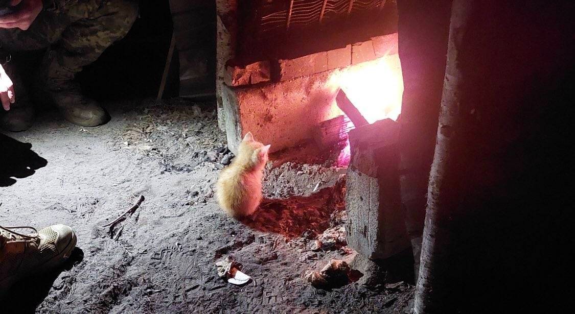 If you look at the fire for a long time, the fire becomes… you!