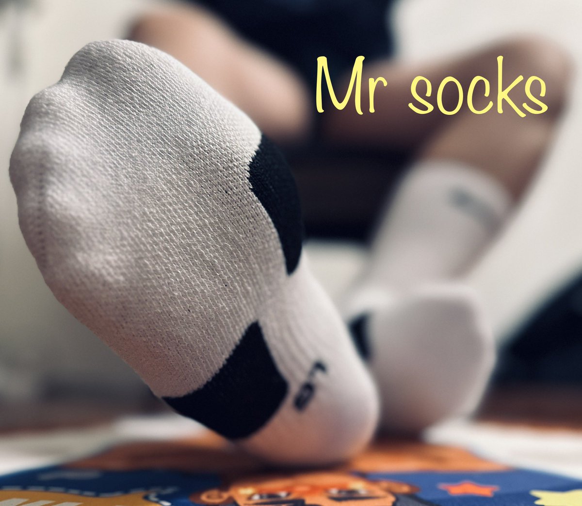 Mr socks tweet media