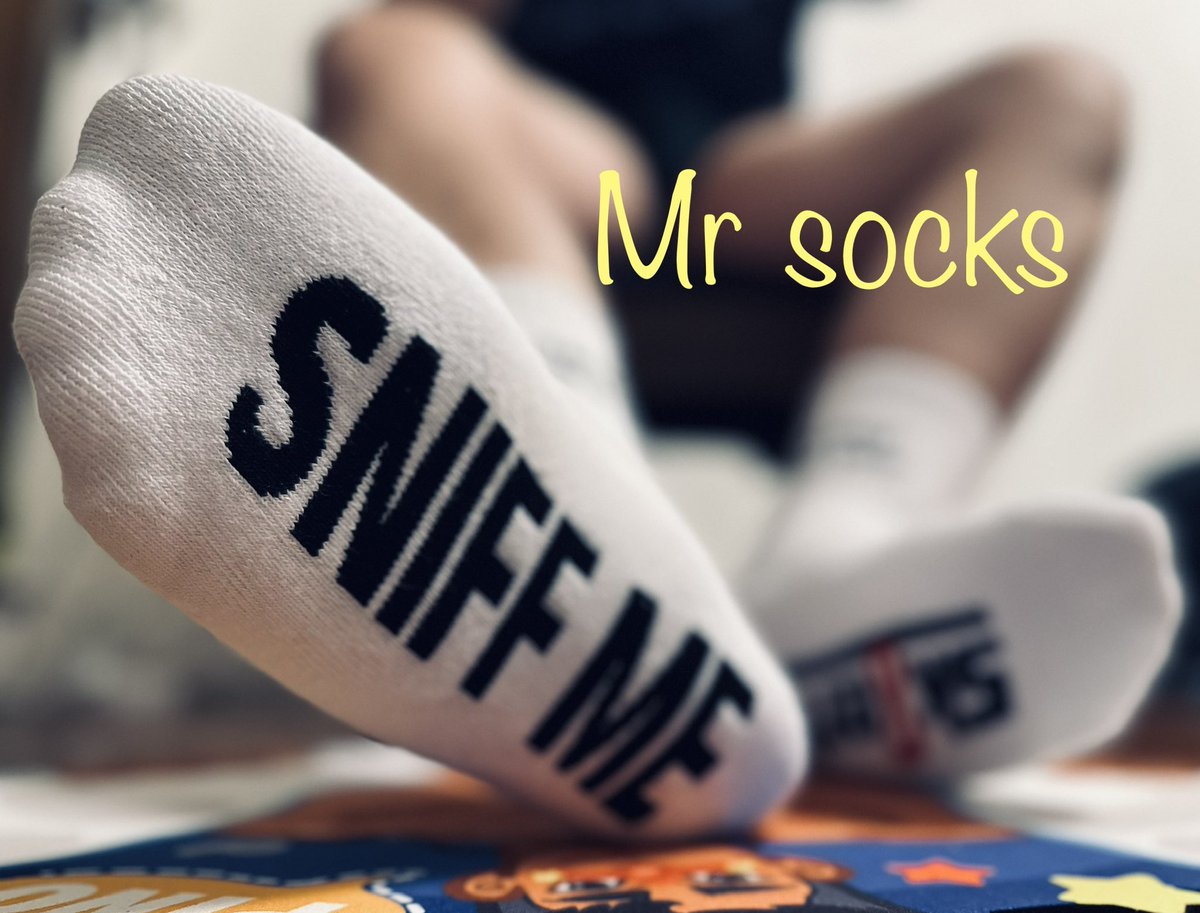 Mr socks tweet media