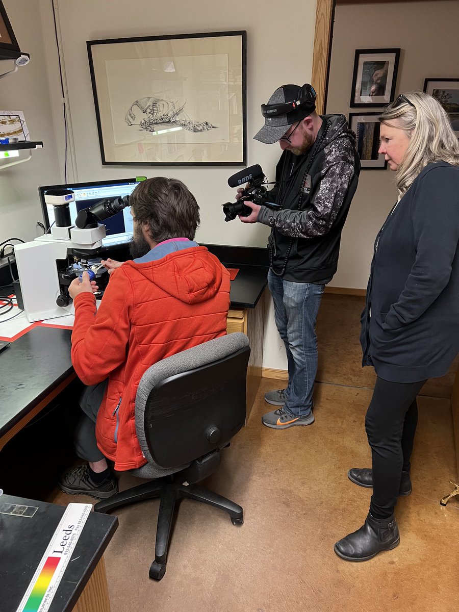 Adam Heathcote (@aj_heathcote) on Twitter photo Tune in to learn more about <a href="/scwrs_mn/">SCW Research Station</a> and get a sneak peak of results from <a href="/mnenrtf/">MN ENRTF</a> and <a href="/MNSeaGrant/">Minnesota Sea Grant | MNSG</a> funded work on #RockSnot #Didymo Tune in to learn more about <a href="/scwrs_mn/">SCW Research Station</a> and get a sneak peak of results from <a href="/mnenrtf/">MN ENRTF</a> and <a href="/MNSeaGrant/">Minnesota Sea Grant | MNSG</a> funded work on #RockSnot #Didymo