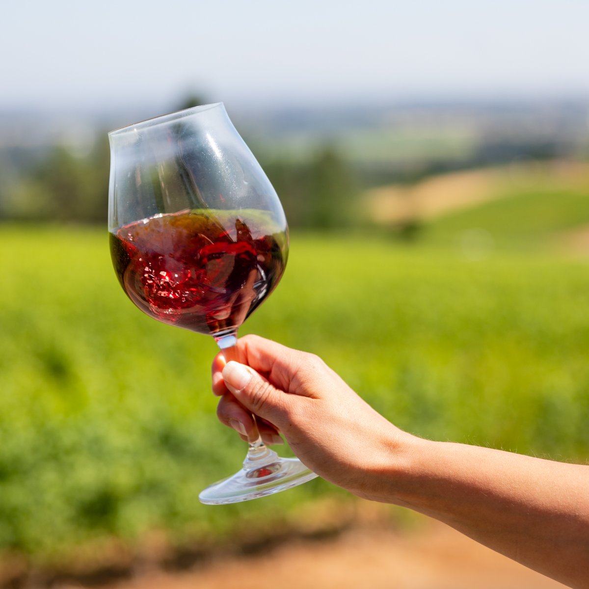 Not all masterpieces belong in a museum -- some belong in a wine glass. Stop in this weekend to discover  Pinot noir artistry! Visit exploretock.com/winderlea/ to book a reservation.