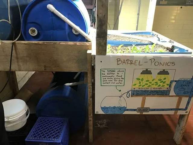 FarmTheFuture's tweet photo. The Foodchain Aquaponics in Lexington tour was awesome! It's always great to see fellow Aquaponicers! @foodchainlex great setup!

#aquaponics #hydroponics #sustainability #food #agriculture #urbanfarm #indoorag #farmingthefuture https://t.co/TX8jp0RMNH