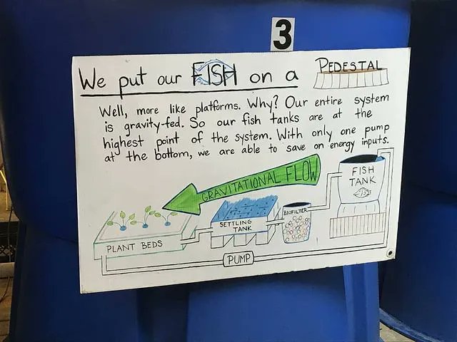 FarmTheFuture's tweet photo. The Foodchain Aquaponics in Lexington tour was awesome! It's always great to see fellow Aquaponicers! @foodchainlex great setup!

#aquaponics #hydroponics #sustainability #food #agriculture #urbanfarm #indoorag #farmingthefuture https://t.co/TX8jp0RMNH