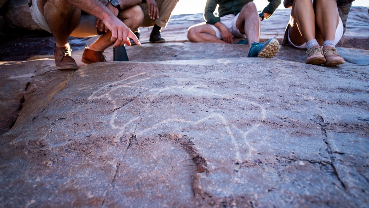 Klipbak, Steenkamp and Picnic Valley are all rock engraving sites on Tswalu. Pippa Skotnes explains some of the meaning and significance of these sites in Understanding Rock Engravings: l8r.it/3BE4 #naturebasedtourism #init4thelongrun #rockart #archaeology #petroglyph