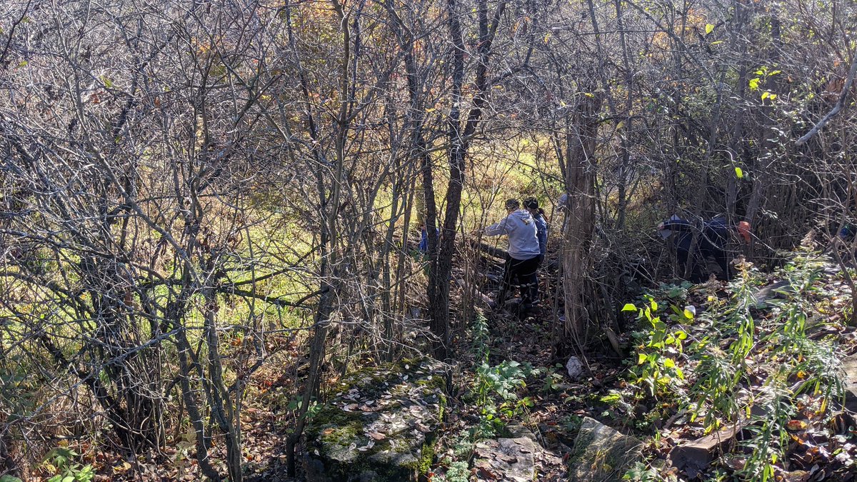 A busy day in <a href="/TanisLattanzio/">Tanis Lattanzio</a> and Mrs. Wowchuk's classes at <a href="/alcdsb_mart/">St. Martha Kingston</a> - they kicked off the inquiry process with a trip to a nearby body of water and used student questions to discuss differences between open and closed Q's. Let's see where this goes! #C3ALCDSB
