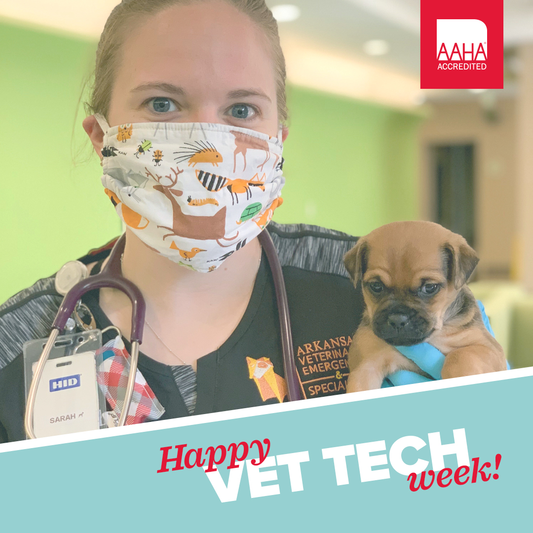 Tweet by American Animal Hospital Association