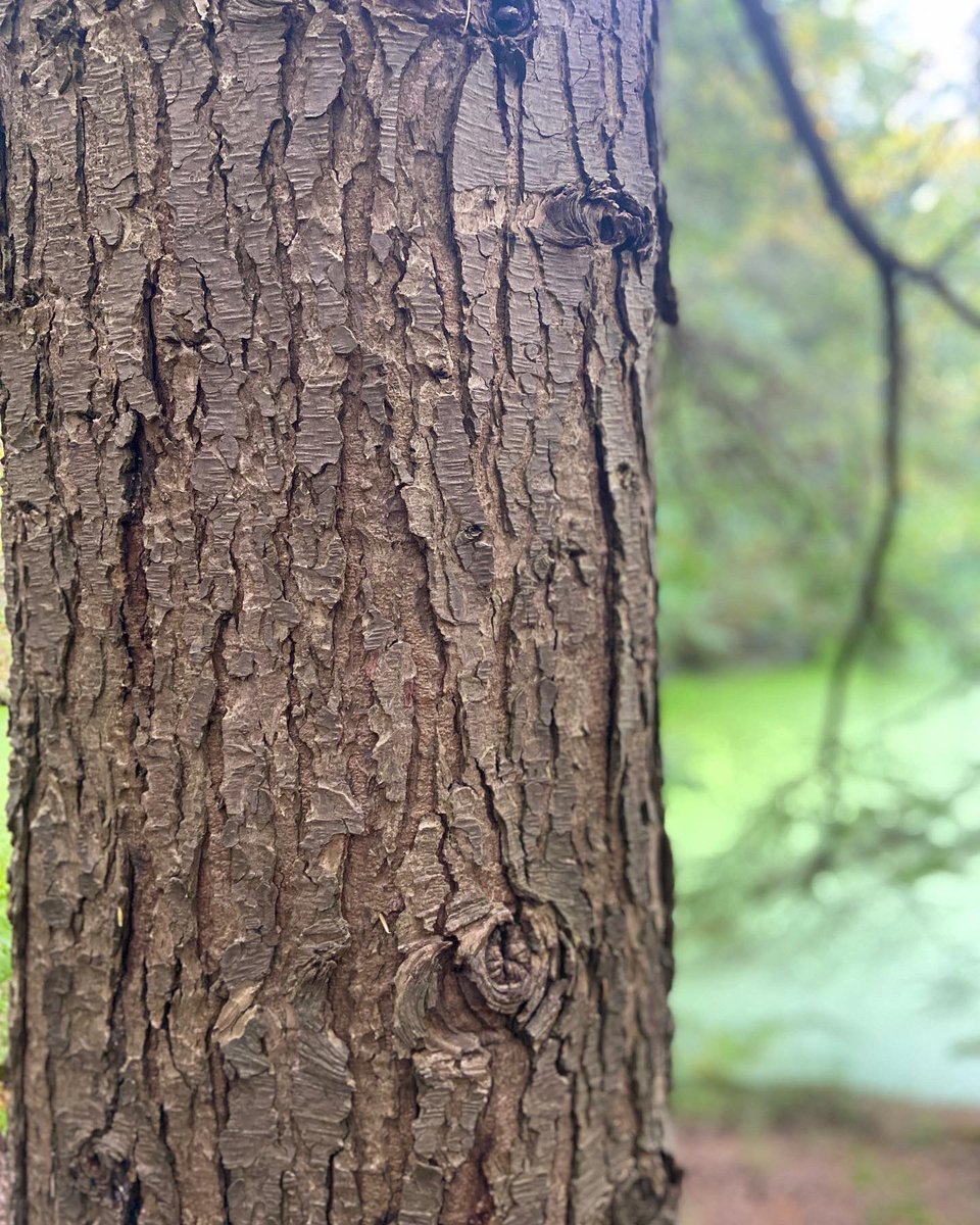 Mrs. Carrusca tweet media