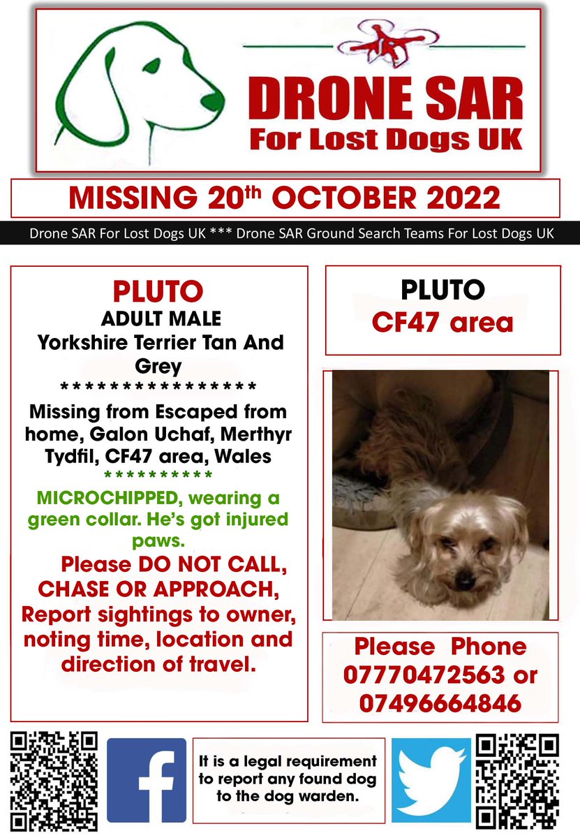 sar_dogs's tweet photo. #LostDog #Alert PLUTO
Male Yorkshire Terrier Tan And Grey (Age: Older Adult)
Missing from Escaped from home, Galon Uchaf, Merthyr Tydfil, CF47 area, Wales on Thursday, 20th October 2022 #DroneSAR #MissingDog https://t.co/8kWcPcp2wi