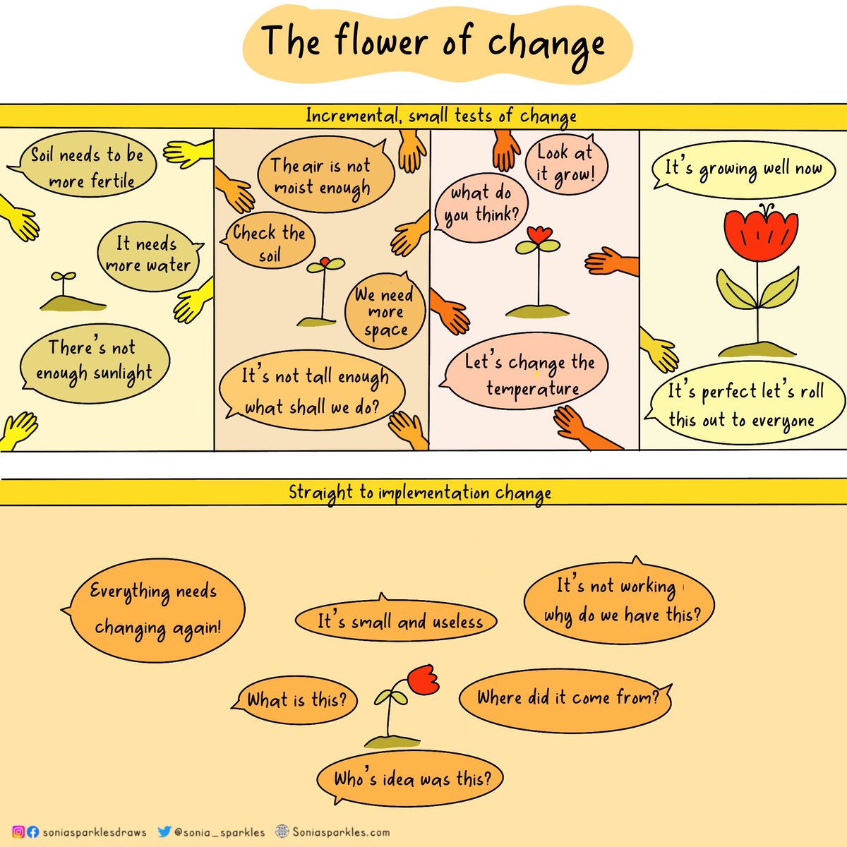 The flower of change: Why it is important to do incremental, small tests of change before implementing something wider #QITwitter
